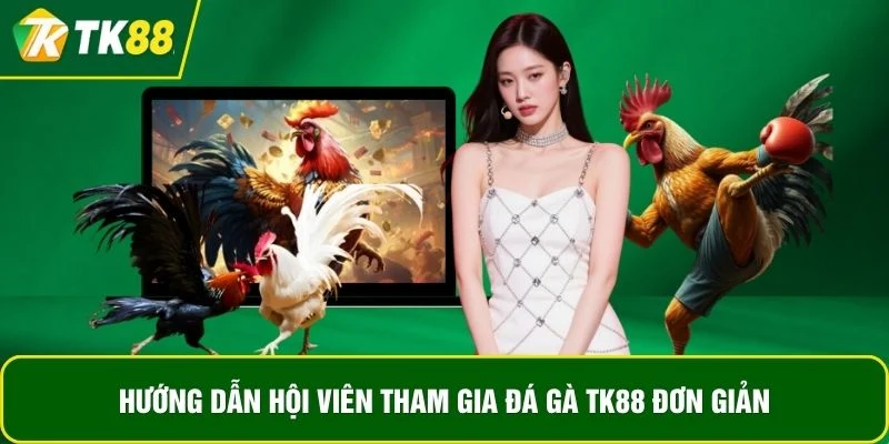Hướng dẫn hội viên tham gia đá gà TK88 đơn giản